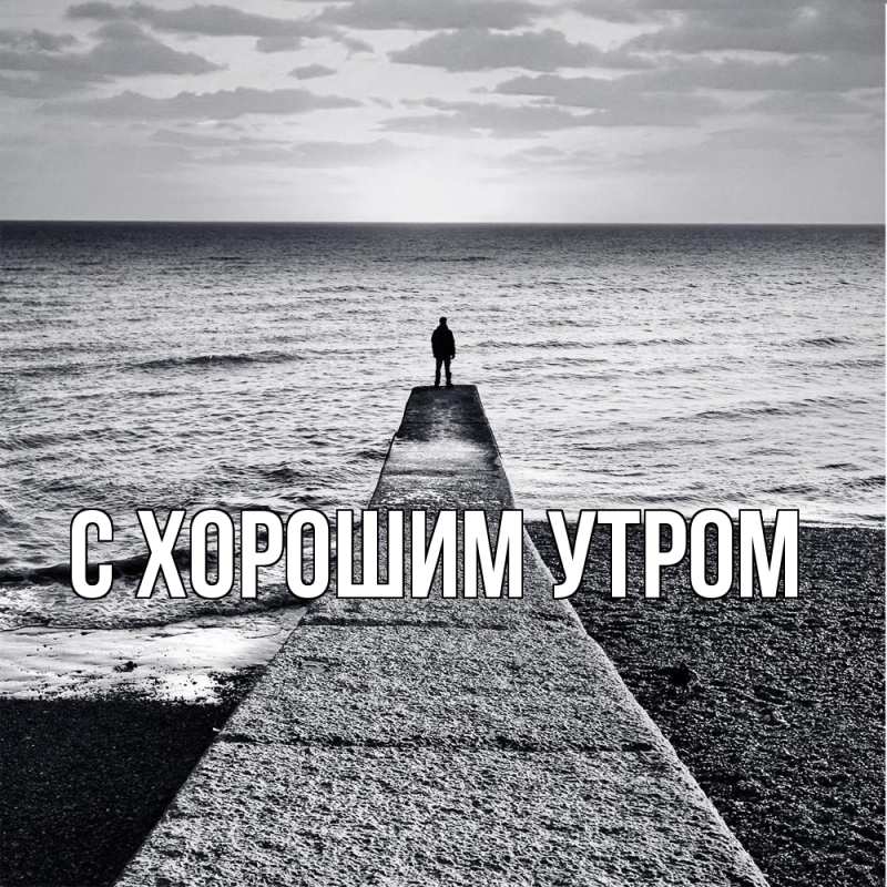 Картинка Скучашки, Нестор