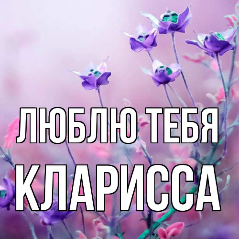 Картинка Люблю тебя, Кларисса