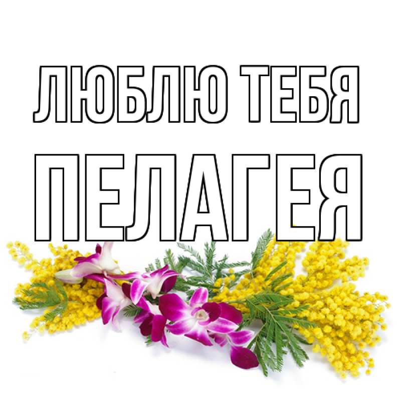 Картинка Люблю тебя, Пелагея