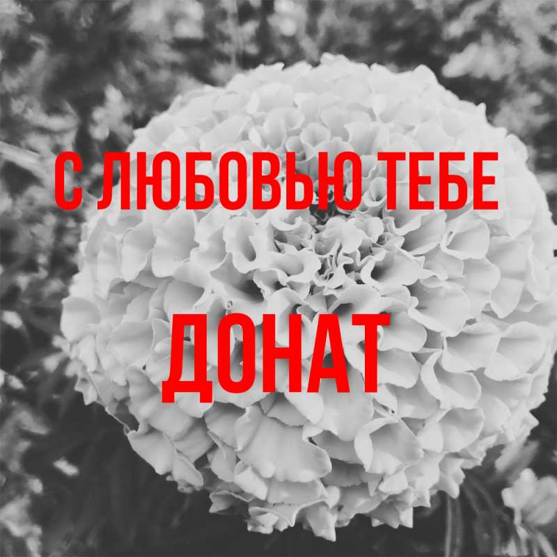 Картинка С любовью тебе, Донат