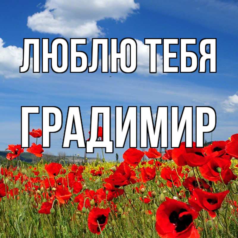 Картинка Люблю тебя, Градимир