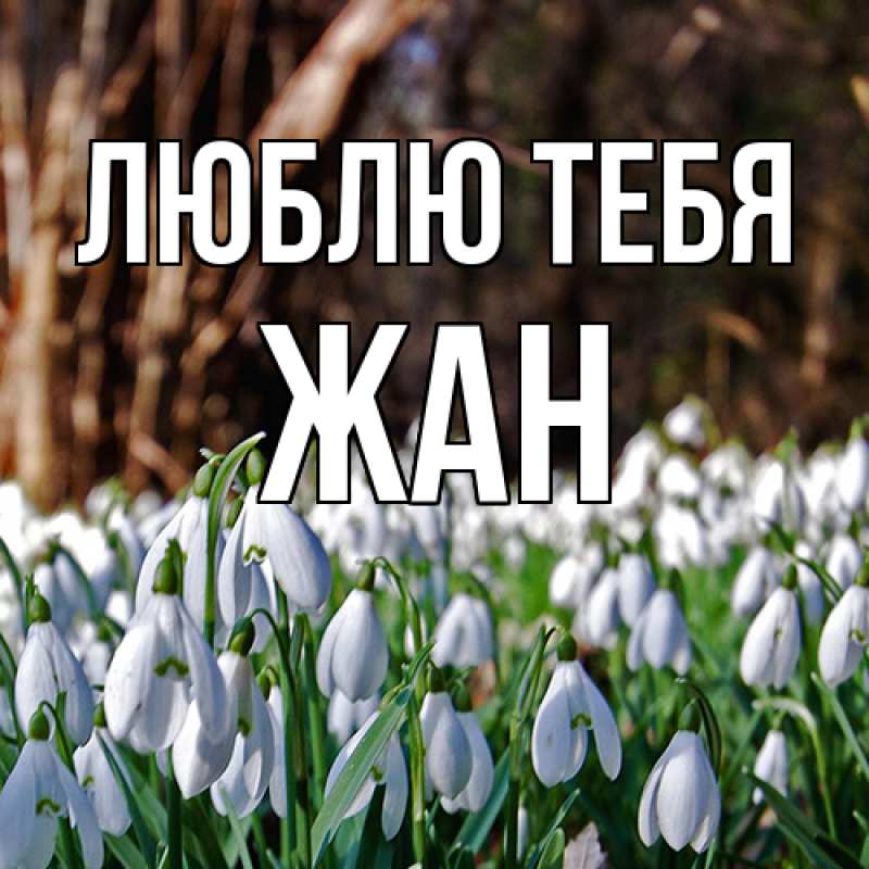 Картинка Люблю тебя, Жан