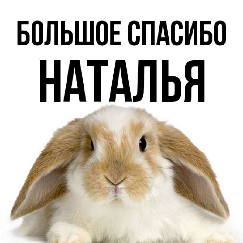 Картинка Большое спасибо, Наталья