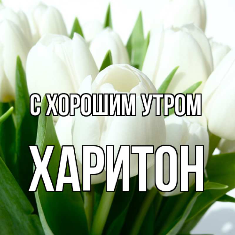 Картинка С хорошим утром, Харитон
