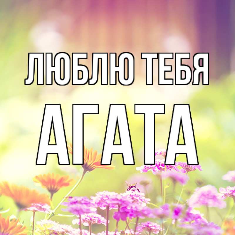 Картинка Люблю тебя, Агата