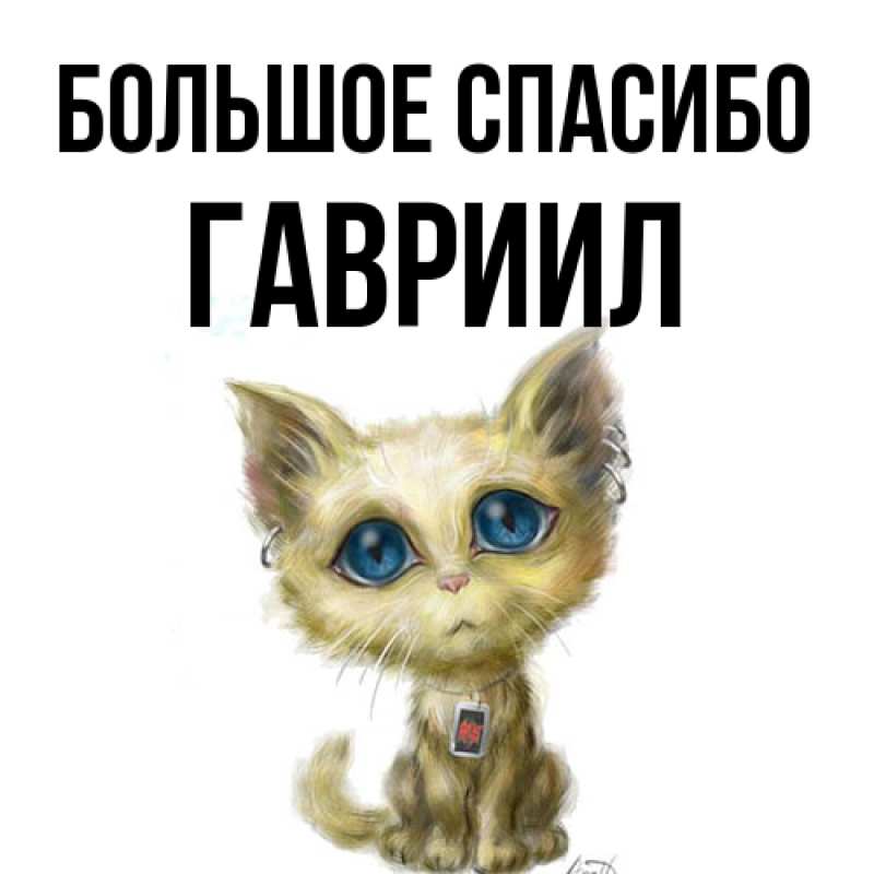 Картинка Большое спасибо, Гавриил
