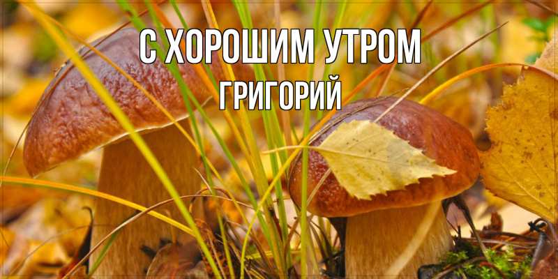 Картинка С хорошим утром, Григорий