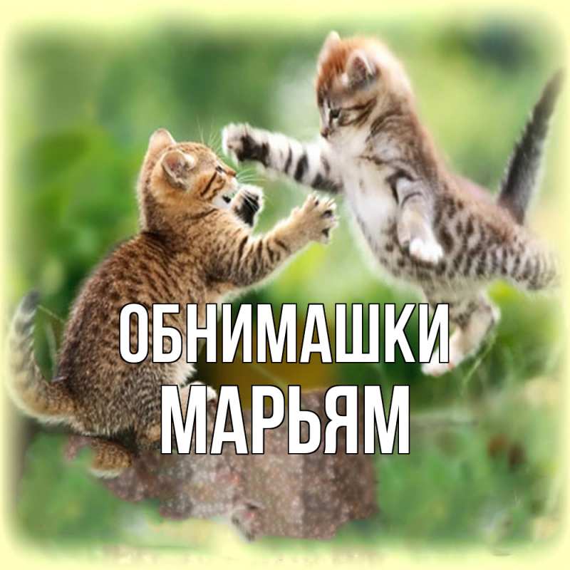 Открытка с именем, Марьям, Обнимашки