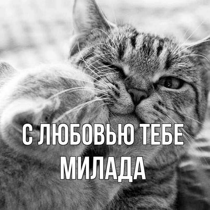 Картинка С любовью тебе, Милада