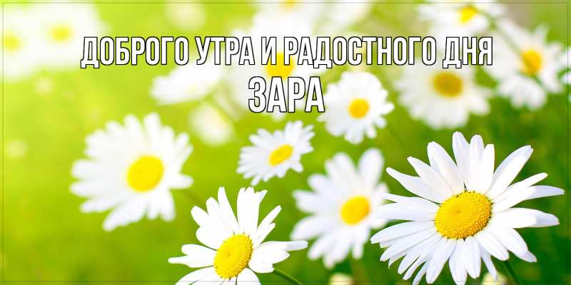 Картинка Доброго утра и радостного дня, Зара