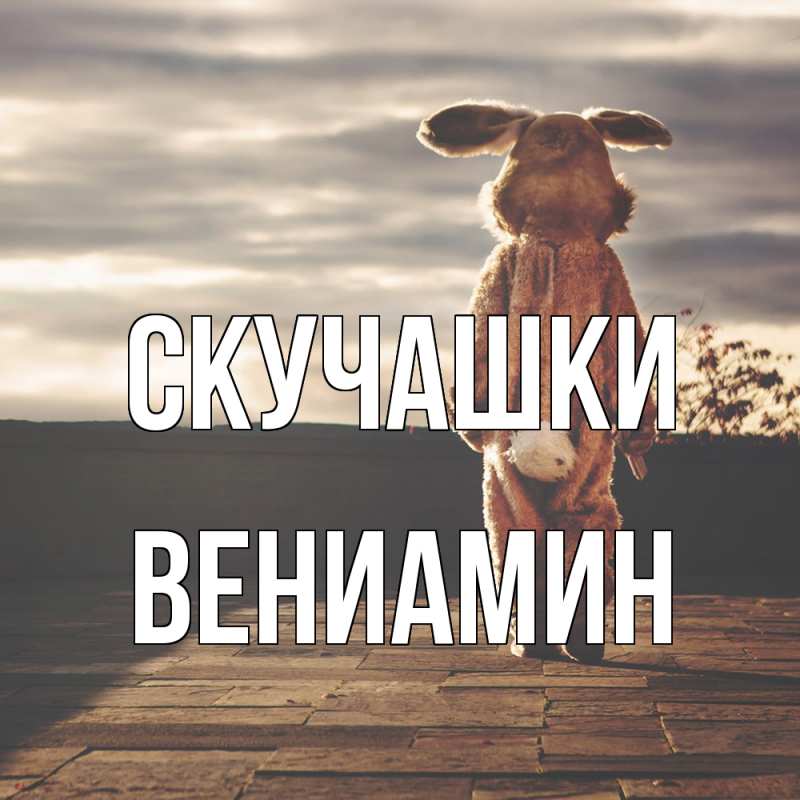 Картинка Скучашки, Вениамин
