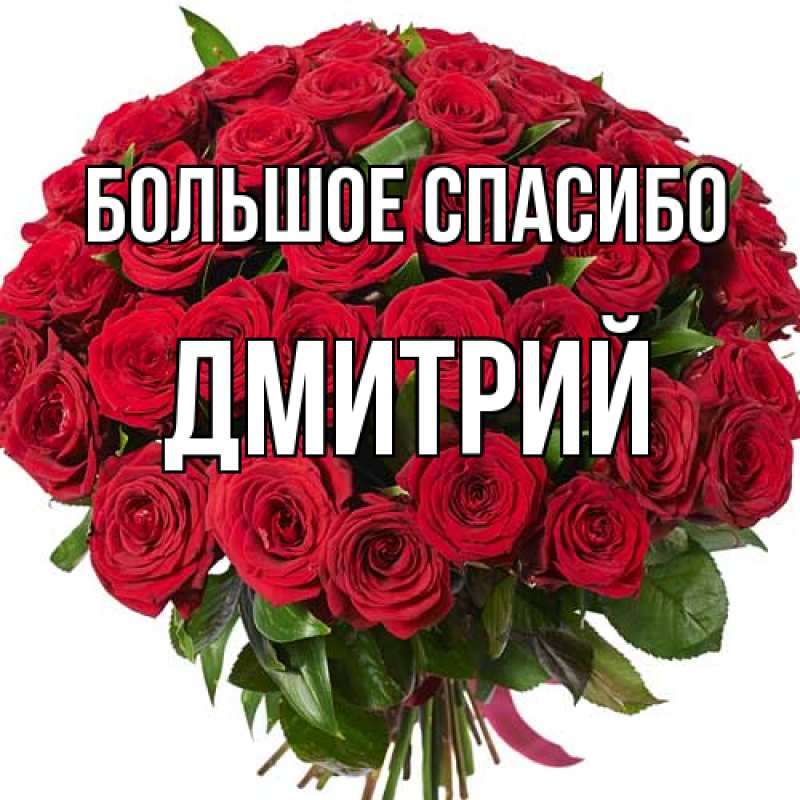 Картинка Большое спасибо, Дмитрий