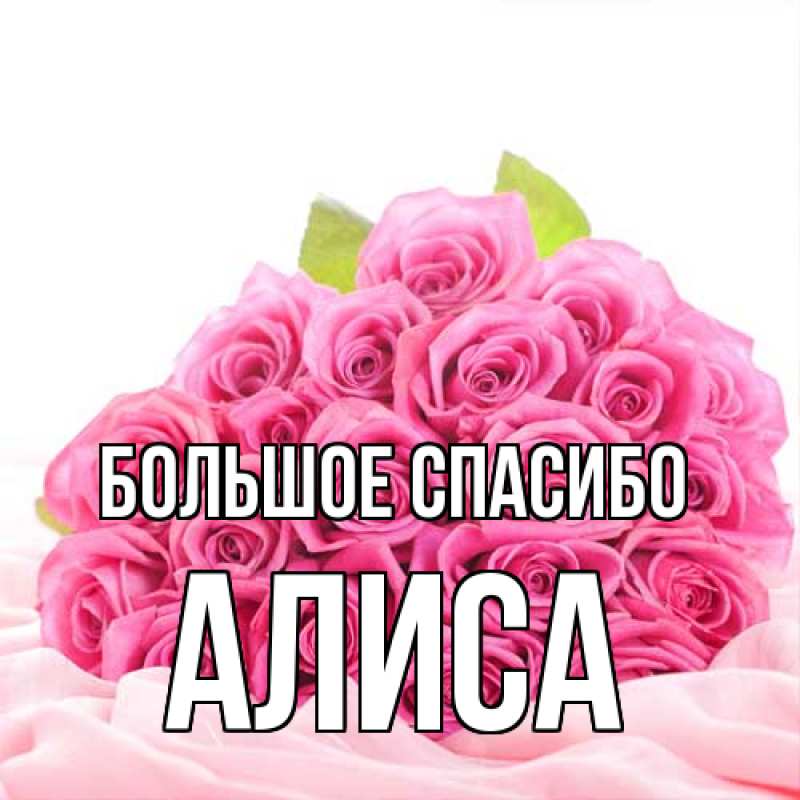 Картинка Большое спасибо, Алиса