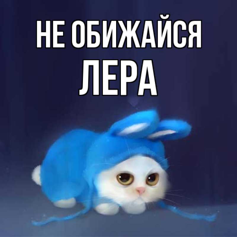 Картинка Не обижайся, Лера