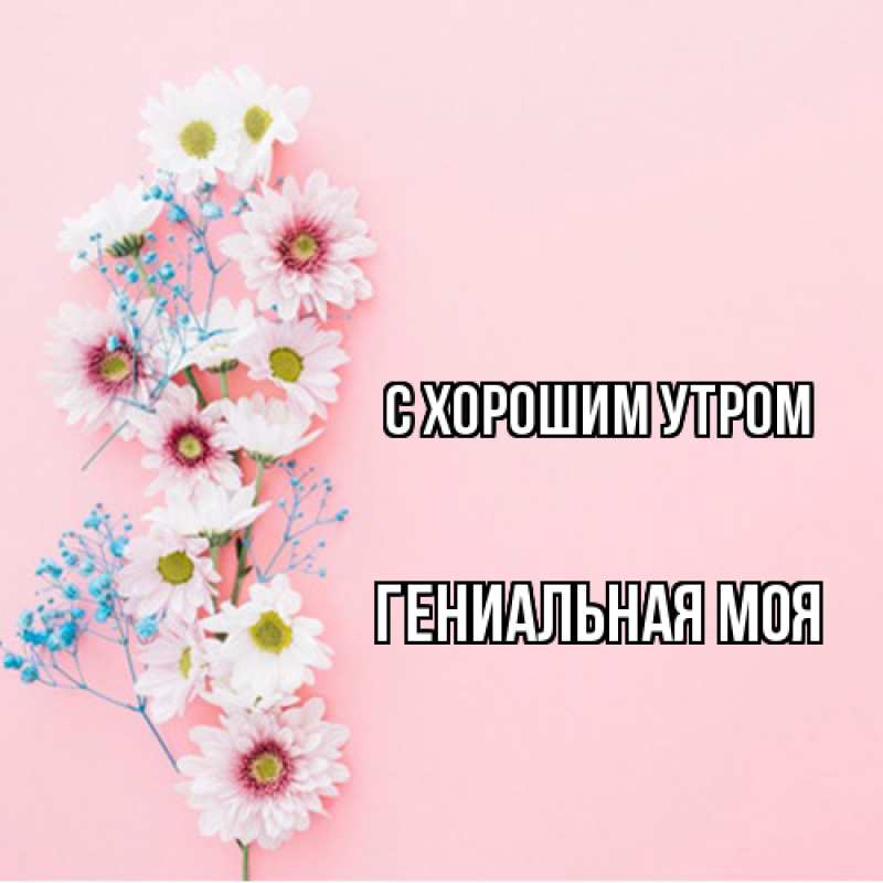 Картинка С хорошим утром, Гениальная моя