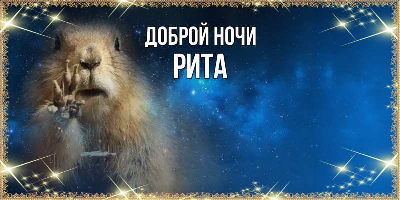 Картинка Доброй ночи, Рита