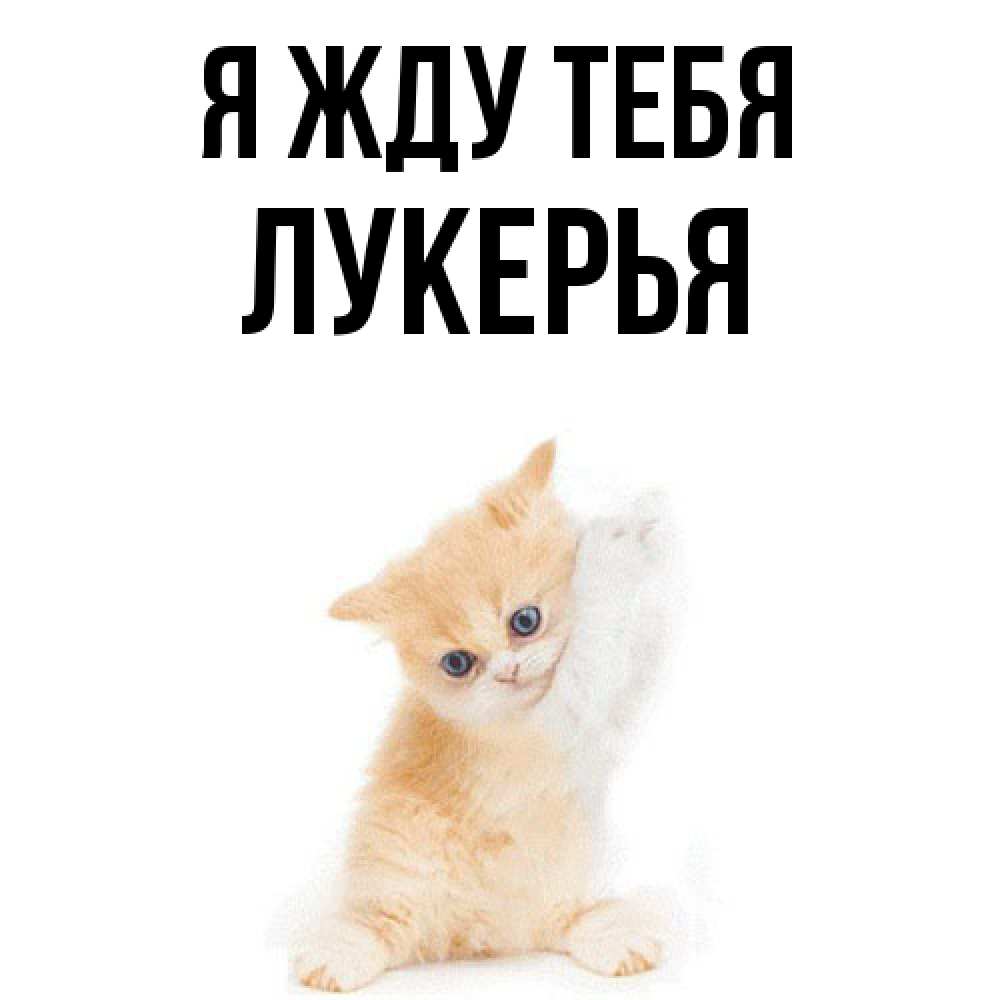 Открытка на каждый день с именем, Лукерья Я жду тебя зверушки и милота Прикольная открытка с пожеланием онлайн скачать бесплатно 