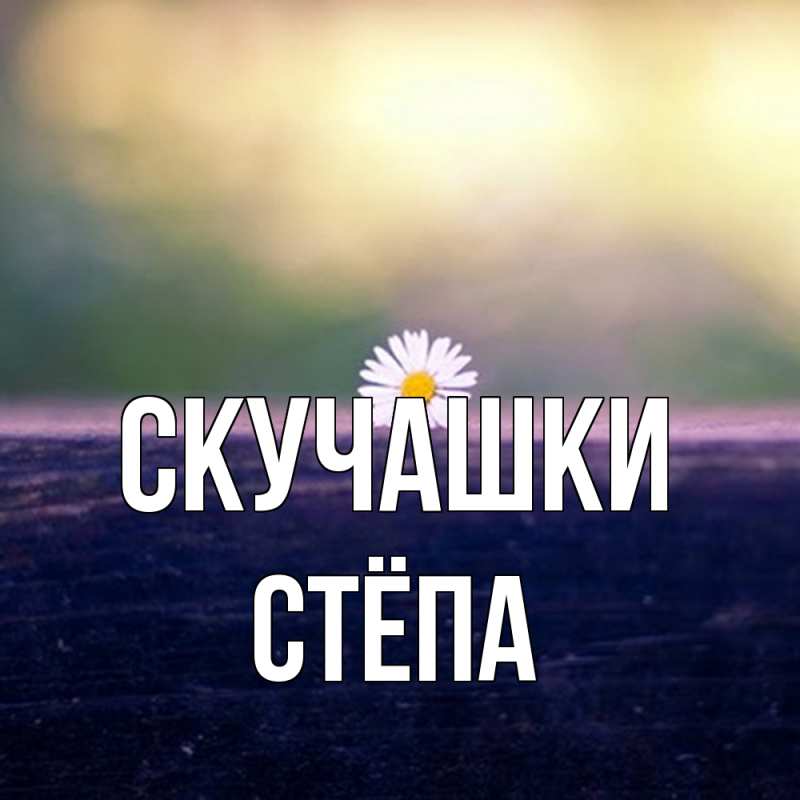 Картинка Скучашки, Стёпа