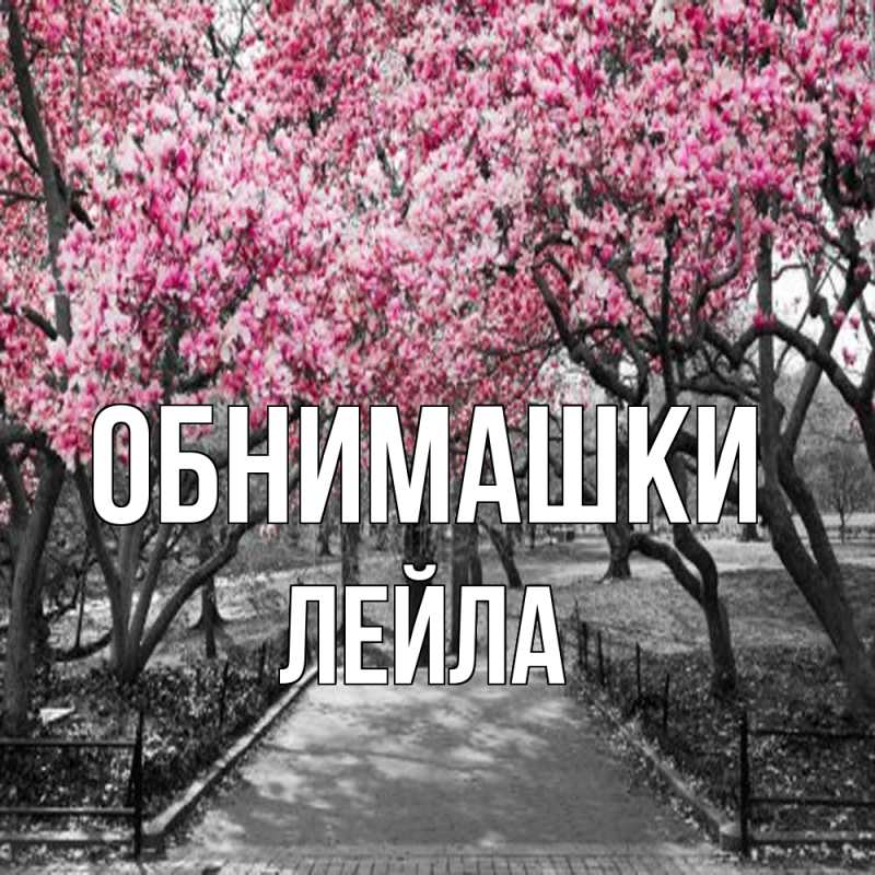 Картинка Обнимашки, Лейла