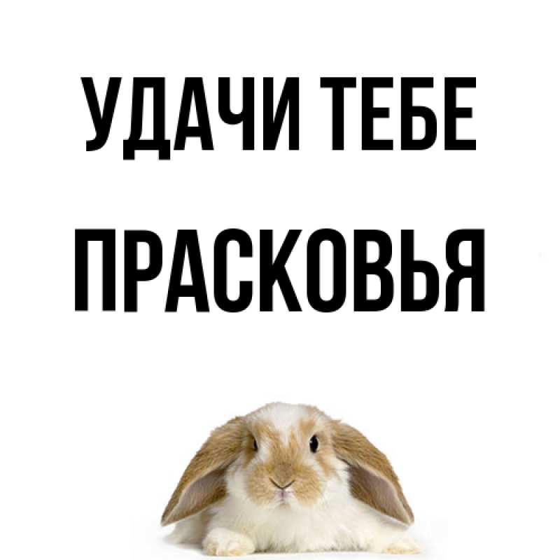 Открытка с именем, Прасковья, Удачи тебе