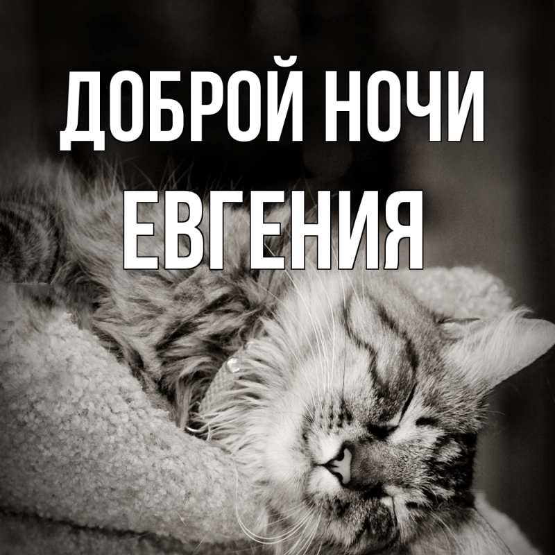 Картинка Доброй ночи, Евгения