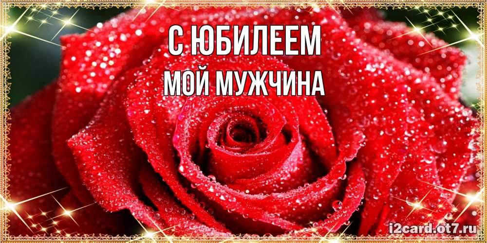 Открытка на каждый день с именем, Мой-мужчина C юбилеем роса и роза. открытка с красивой розой Прикольная открытка с пожеланием онлайн скачать бесплатно 