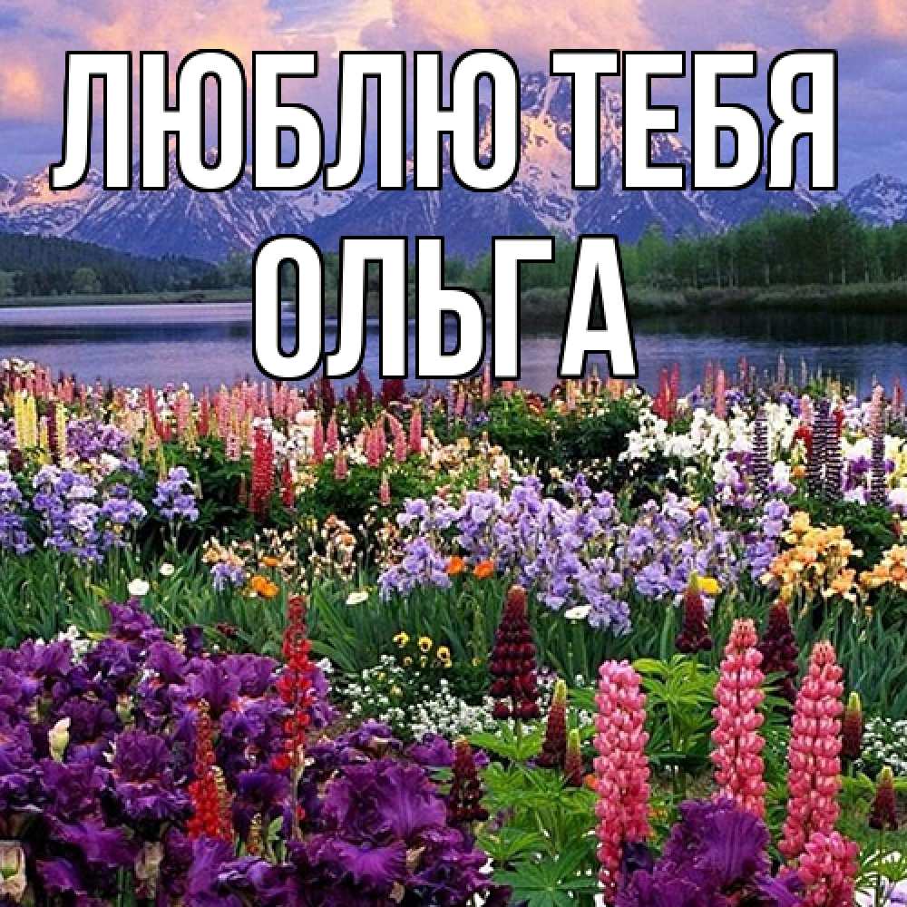 Открытка на каждый день с именем, Ольга Люблю тебя международный женский день Прикольная открытка с пожеланием онлайн скачать бесплатно 