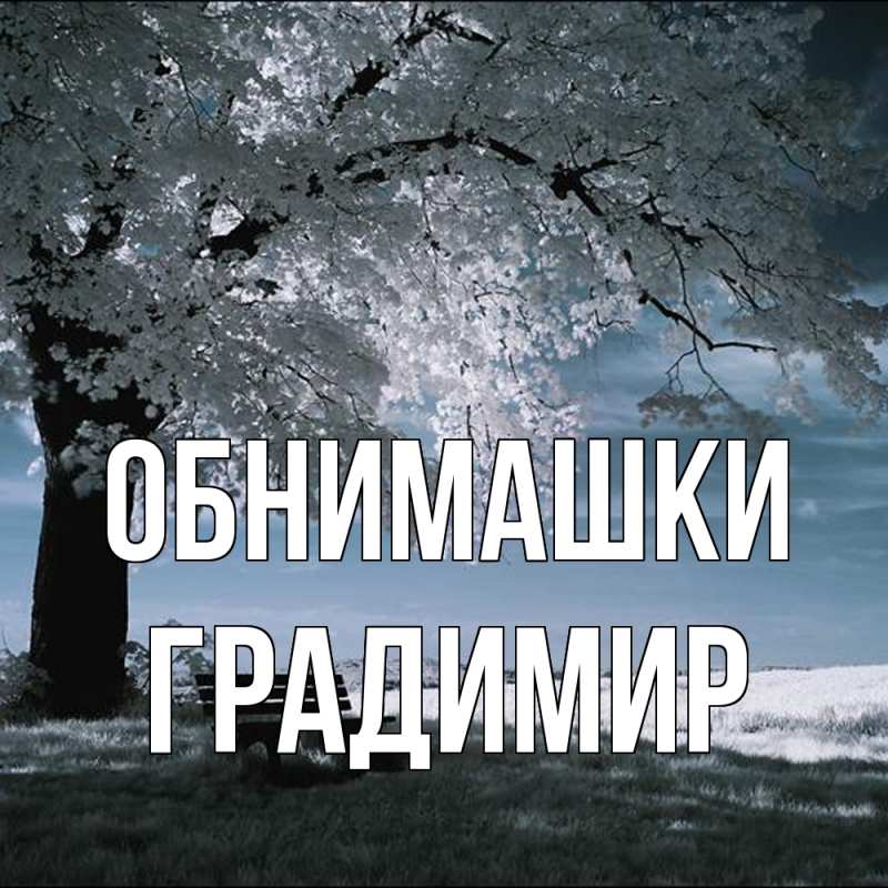 Картинка Обнимашки, Градимир