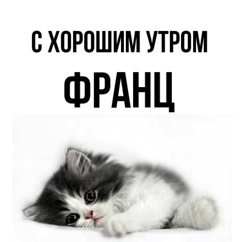 Открытка с именем, Франц, С хорошим утром