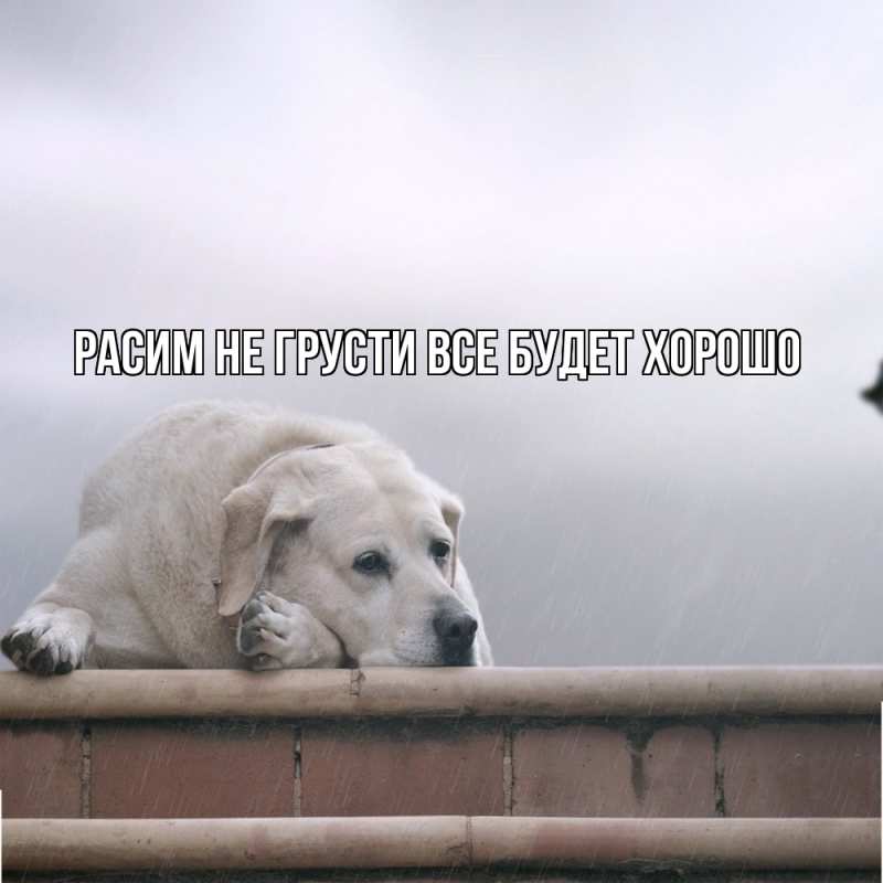 Картинка Не грусти, все будет хорошо, Расим
