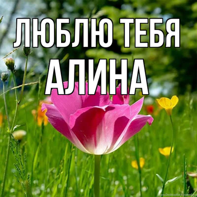 Картинка Люблю тебя, Алина