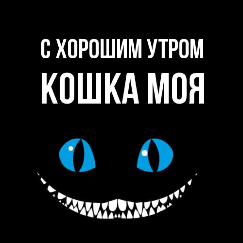 Картинка С хорошим утром, Кошка моя