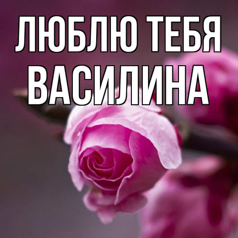 Открытка на каждый день с именем, Василина Люблю тебя весна Прикольная открытка с пожеланием онлайн скачать бесплатно 