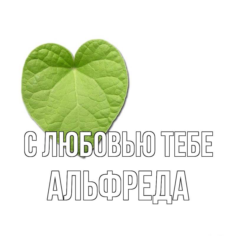 Картинка С любовью тебе, Альфреда