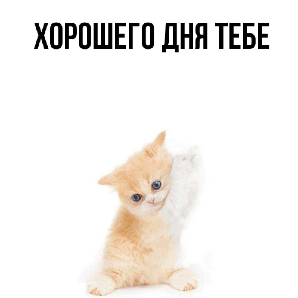 Открытка на каждый день с именем, Израиль Обнимашки я хочу очень скорее обнимаешек Прикольная открытка с пожеланием онлайн скачать бесплатно 