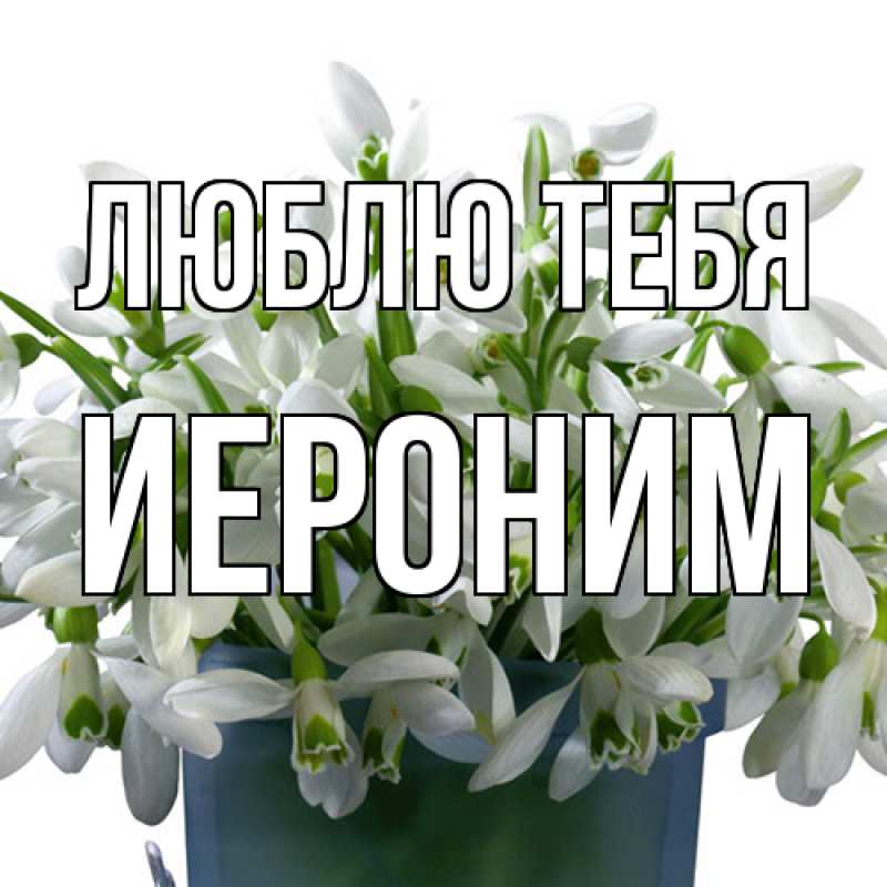 Открытка с именем, Иероним, Люблю тебя