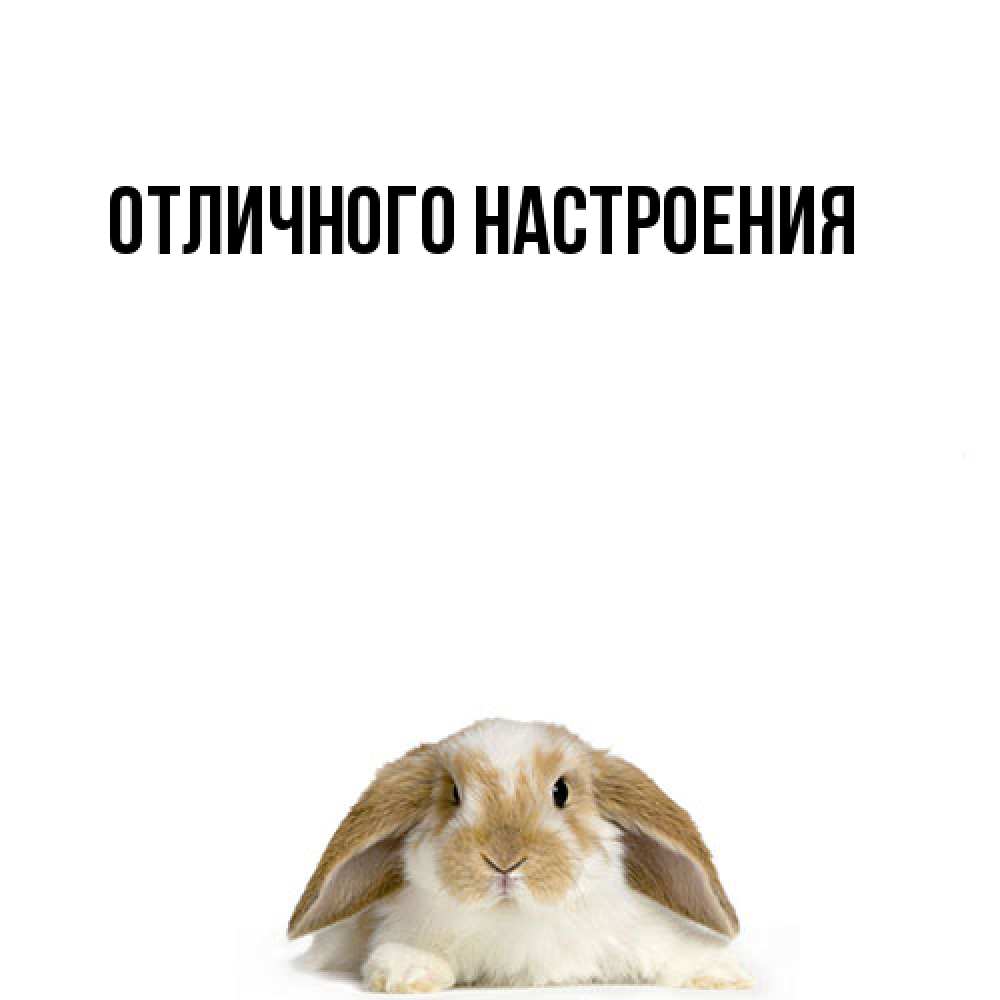 Открытка на каждый день с именем, Киска-моя Я жду тебя подписать своими руками онлайн Прикольная открытка с пожеланием онлайн скачать бесплатно 