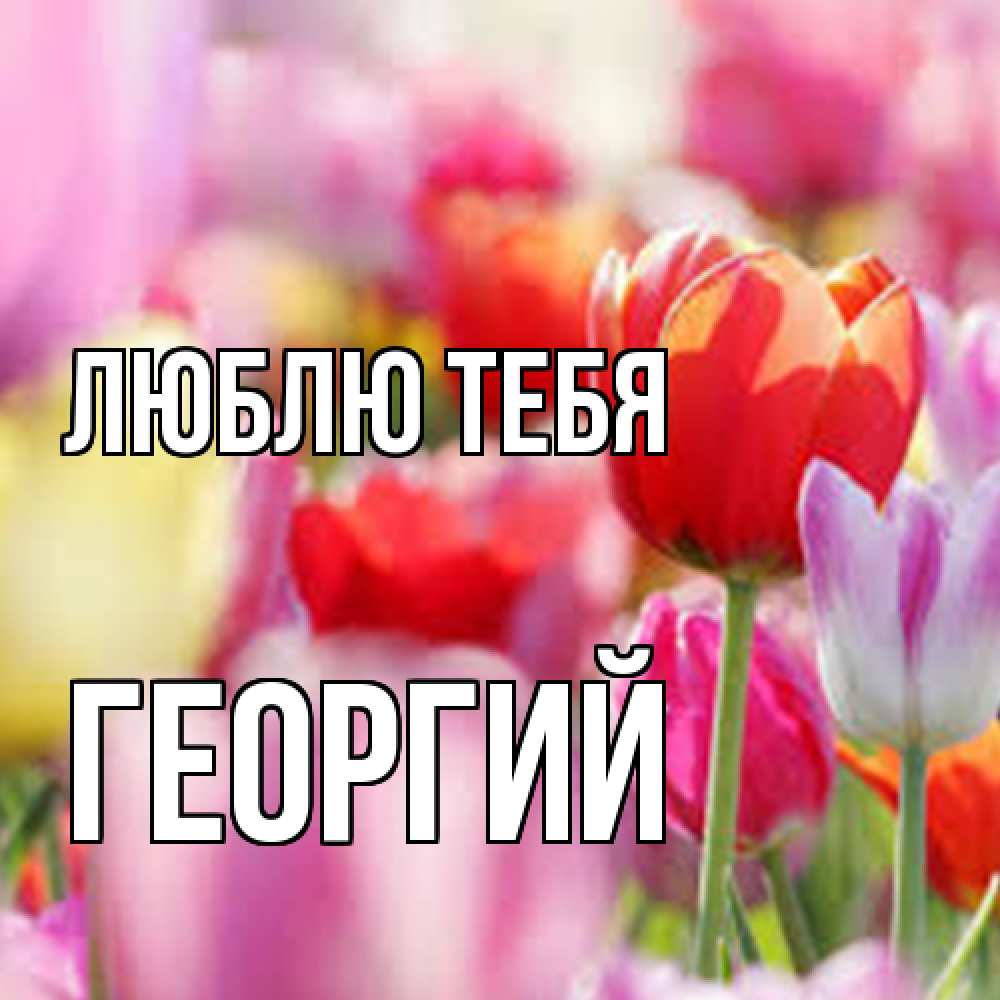 Открытка на каждый день с именем, Георгий Люблю тебя на международный женский день 2 Прикольная открытка с пожеланием онлайн скачать бесплатно 