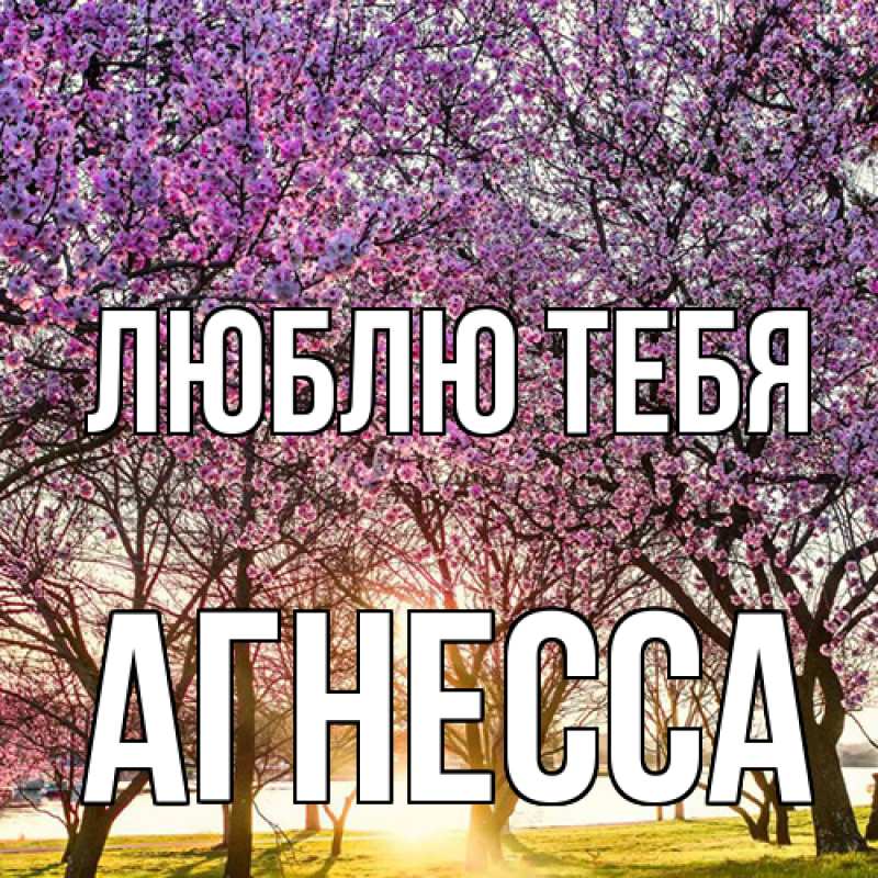 Картинка Люблю тебя, Агнесса