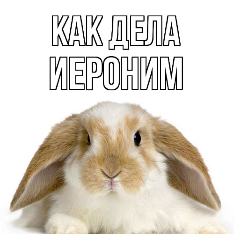 Открытка с именем, Иероним, Как дела