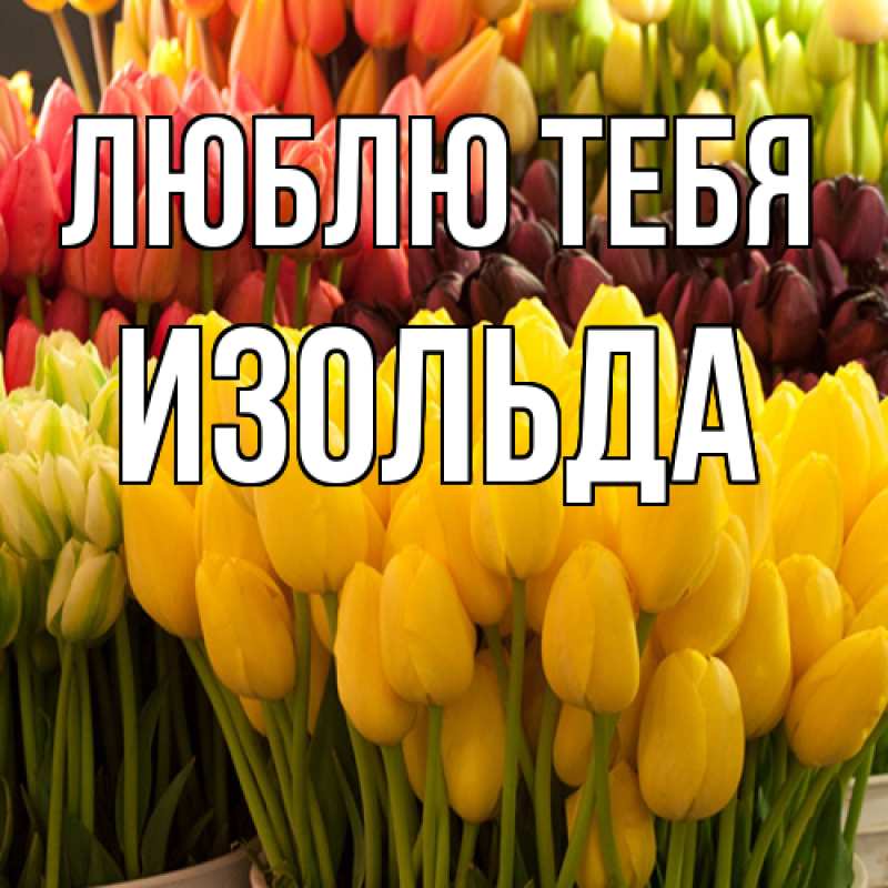 Открытка с именем, Изольда, Люблю тебя