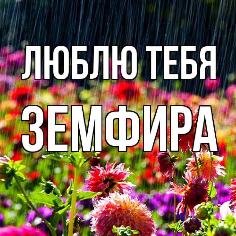 Картинка Люблю тебя, Земфира