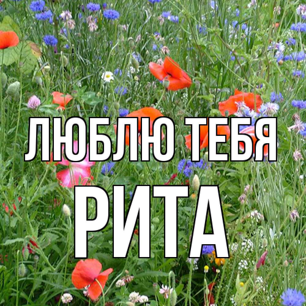 Открытка на каждый день с именем, Рита Люблю тебя международный женский день 4 Прикольная открытка с пожеланием онлайн скачать бесплатно 