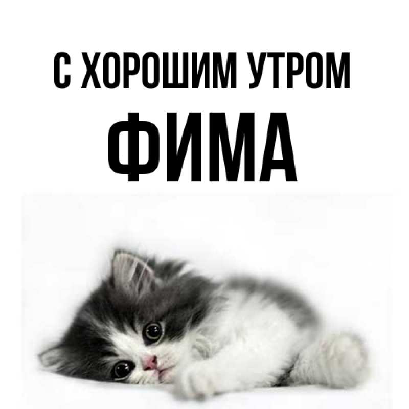 Картинка С хорошим утром, Фима