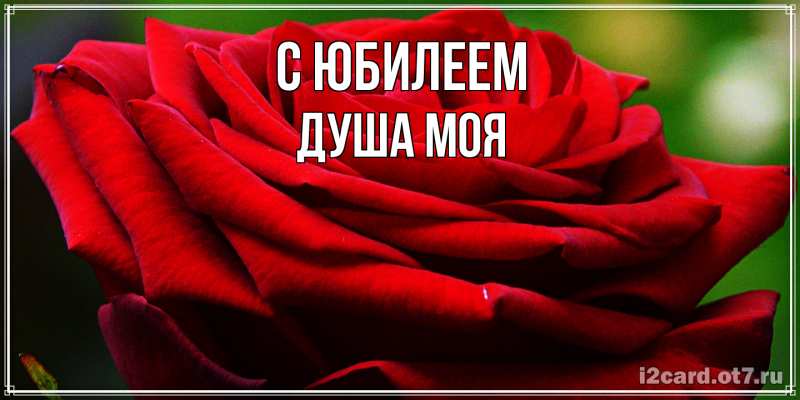 Картинка C юбилеем, Душа моя