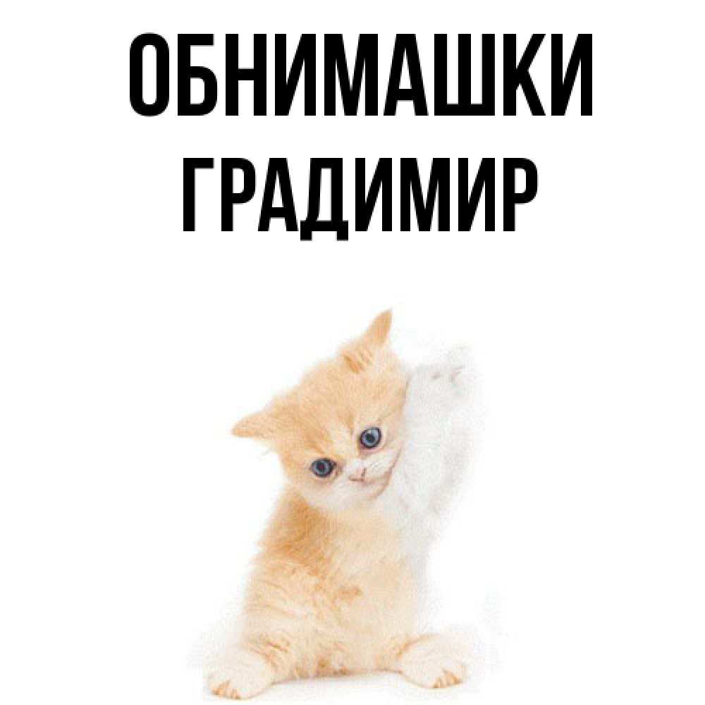 Открытка на каждый день с именем, Градимир Обнимашки я хочу очень скорее обнимаешек Прикольная открытка с пожеланием онлайн скачать бесплатно 