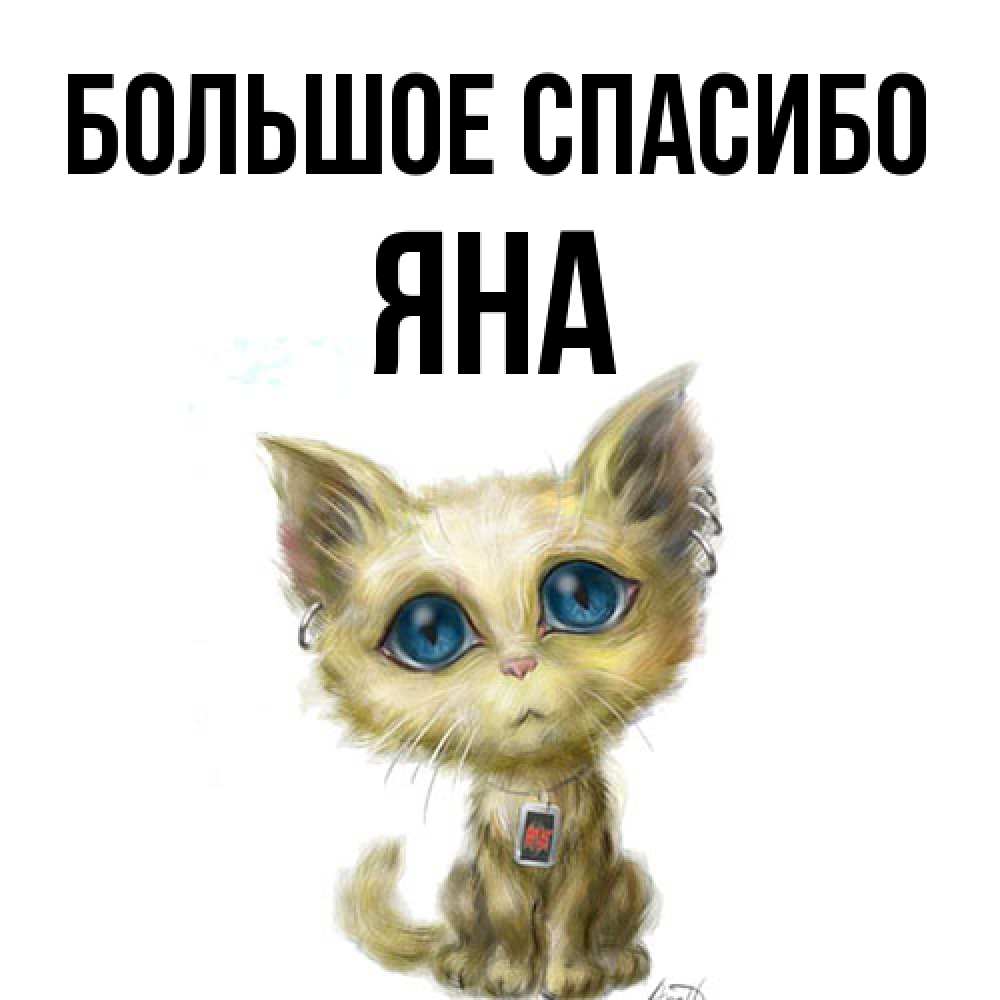 Открытка на каждый день с именем, Яна Большое спасибо рисованный кот благодарит вас Прикольная открытка с пожеланием онлайн скачать бесплатно 