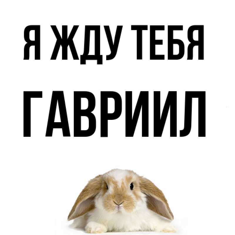 Картинка Я жду тебя, Гавриил