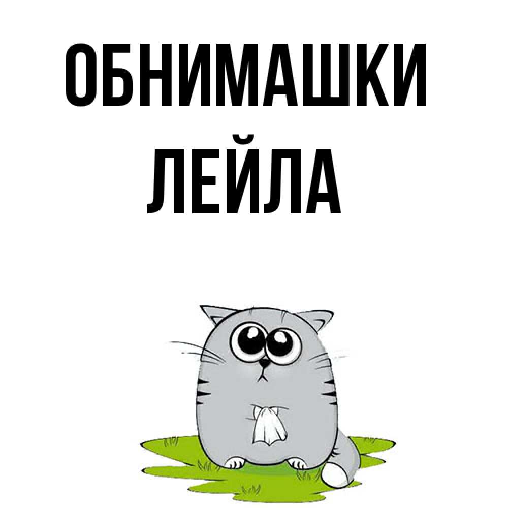 Открытка на каждый день с именем, Лейла Обнимашки котик теребит платочек сидя на травке Прикольная открытка с пожеланием онлайн скачать бесплатно 