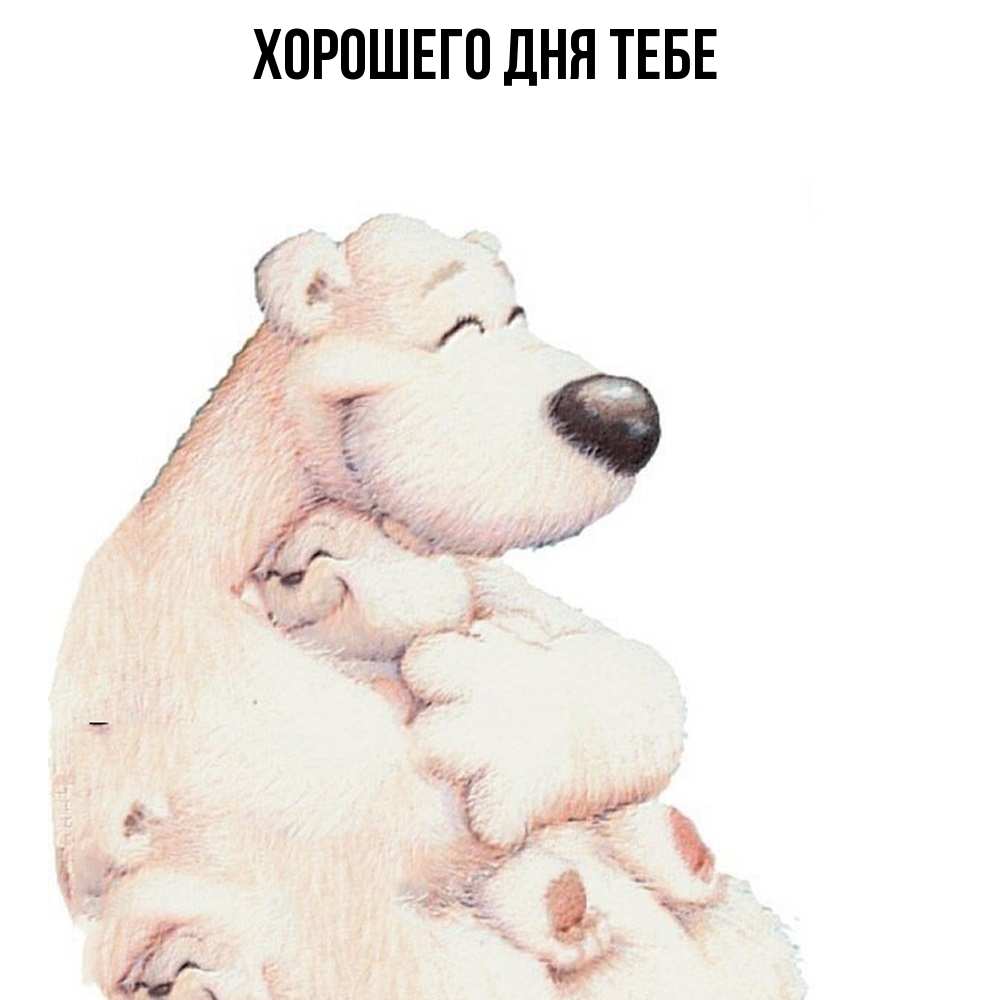 Открытка на каждый день с именем, Зигмунд Обнимашки мама белый медведь Прикольная открытка с пожеланием онлайн скачать бесплатно 